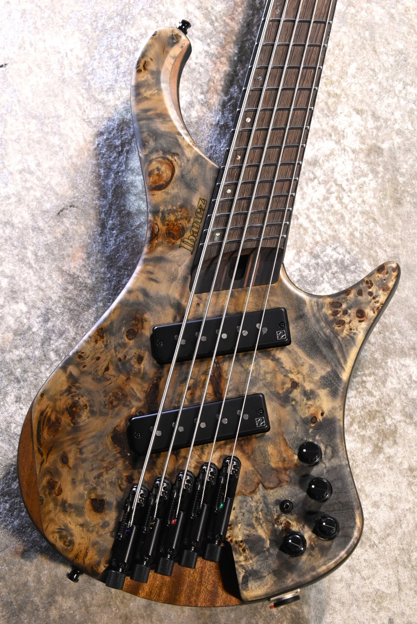 Ibanez EHB1505MS -BIF- #I 250905599【3.17kg】Black Ice Flat【5弦