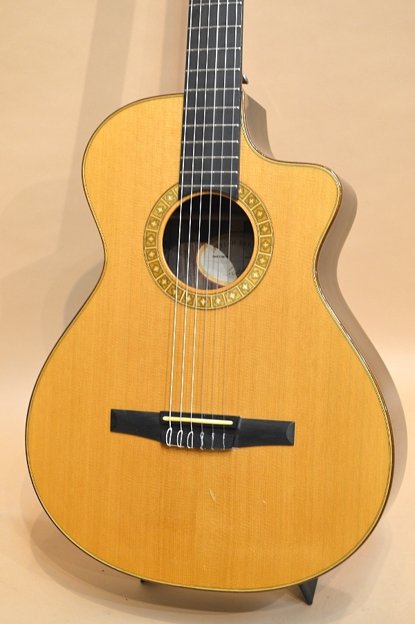 Taylor NS72ce 2008年製（中古/送料無料）【楽器検索デジマート】
