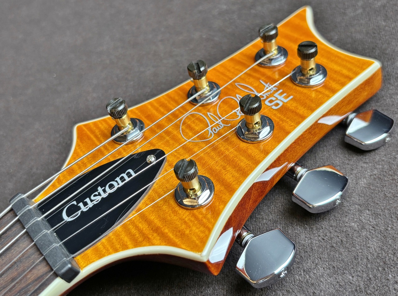 Paul Reed Smith(PRS) SE Custom 24 Semi-Hollow Piezo（中古）【楽器