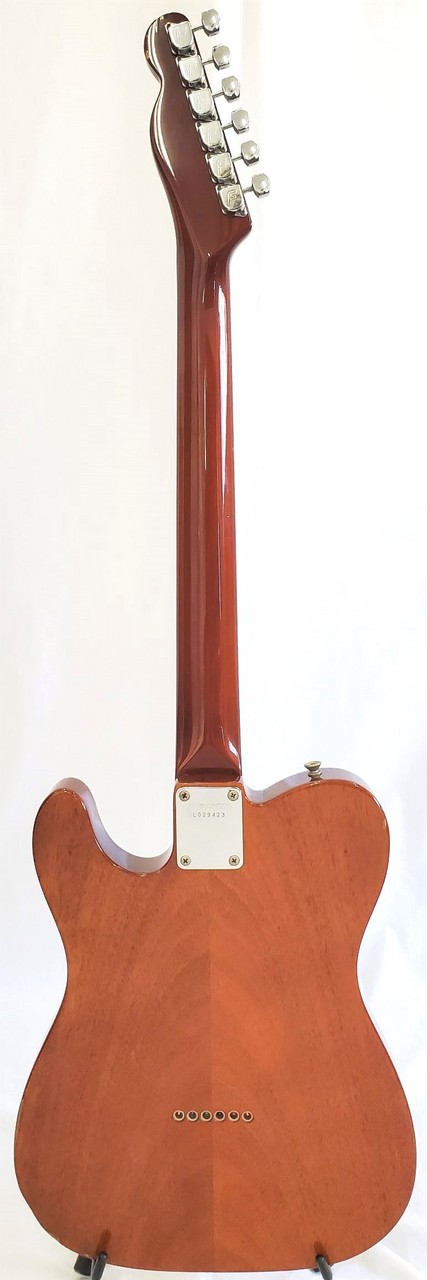 FERNANDES Revival Series Telecaster Thinline 80's Vintage 【浦添店