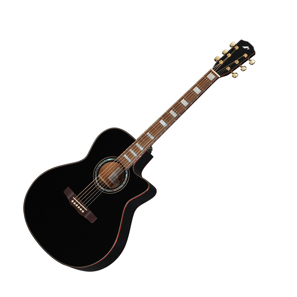 Morris MORRIS モーリス R-18 BLACK EDITION エレクトリック