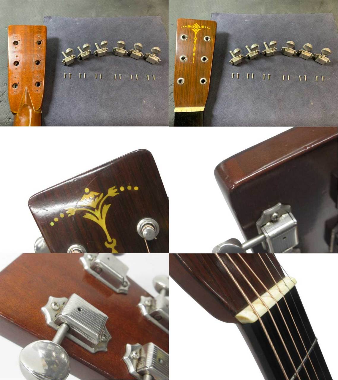 Cat's Eyes ( Tokai ) CE-1500 / 1981年製【鹿児島店】（ビンテージ