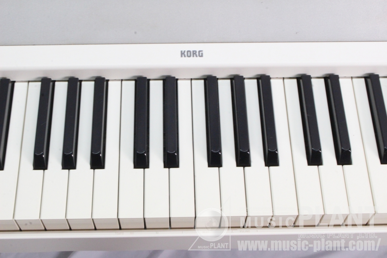 KORG B1-WH（中古）【楽器検索デジマート】