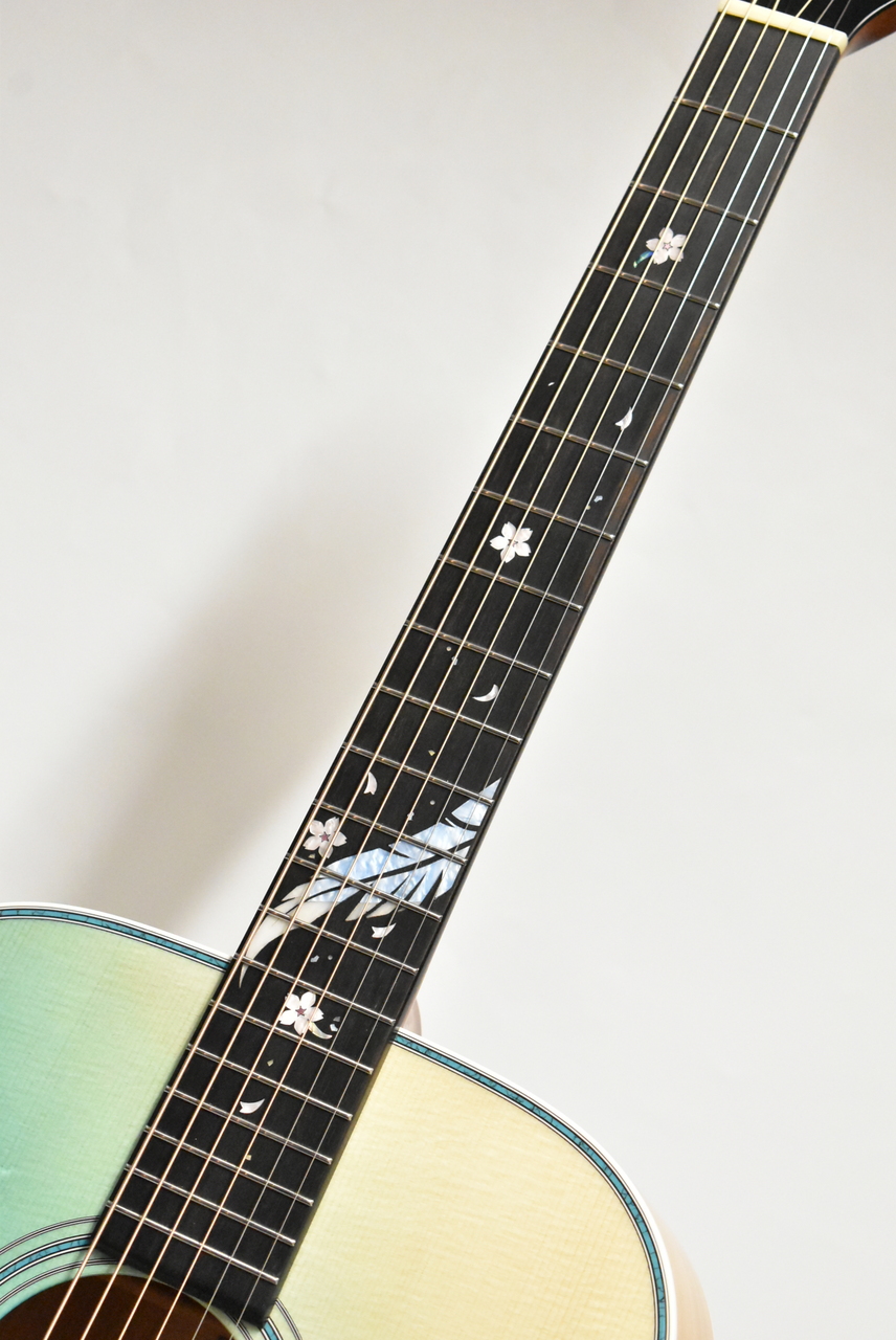 Headway HF-HYUGAZAKURA'25/ATB #A04183【ヨーロピアン