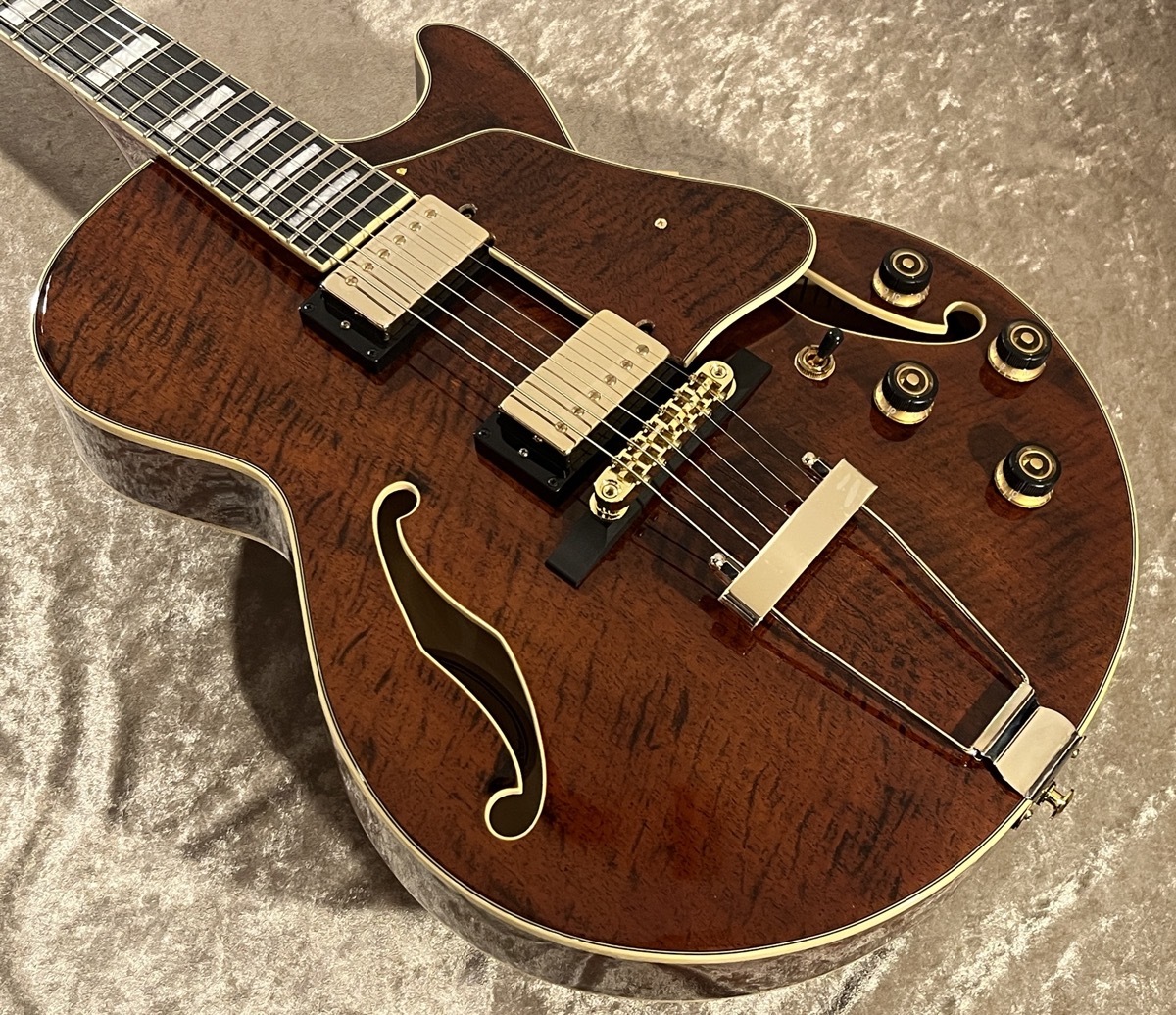 Ibanez 【NEW】Artcore Expressionist AG95MG DA Dark Amber sn