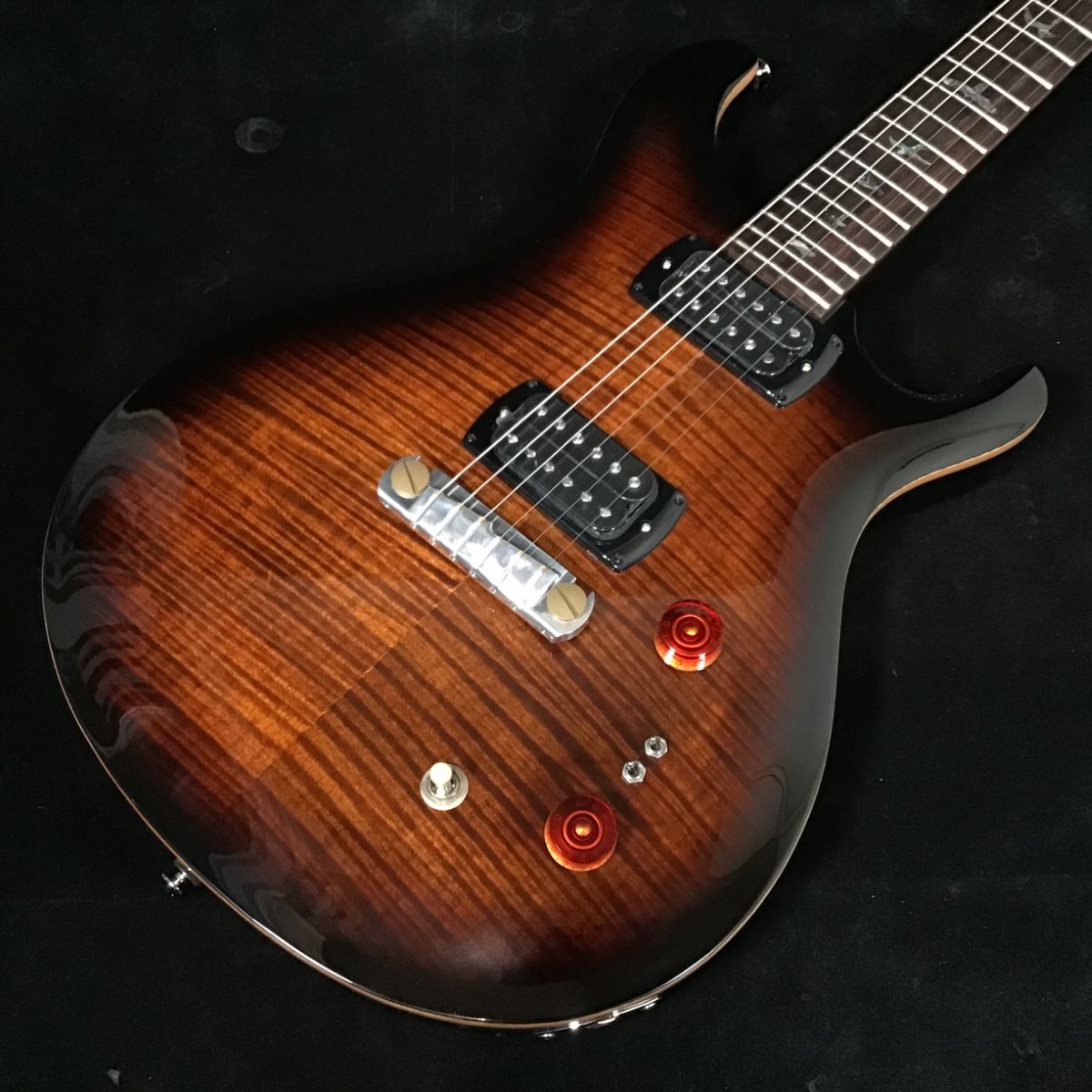 Paul Reed Smith(PRS) SE Paul's Guitar