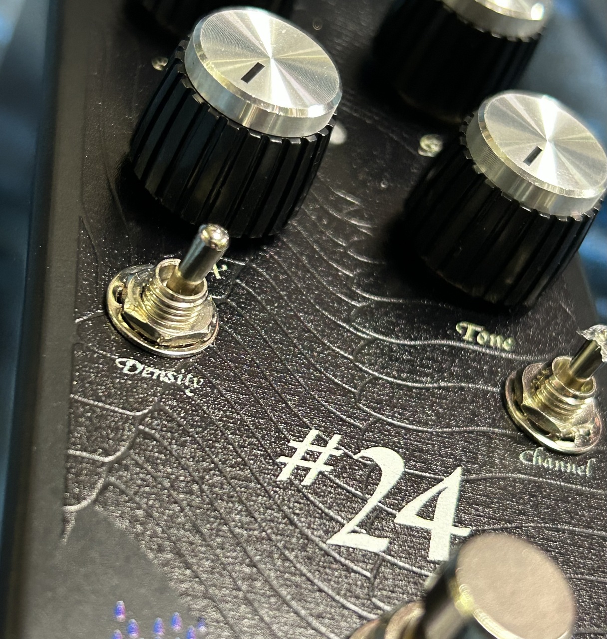 Umbrella Company #24（新品）【楽器検索デジマート】