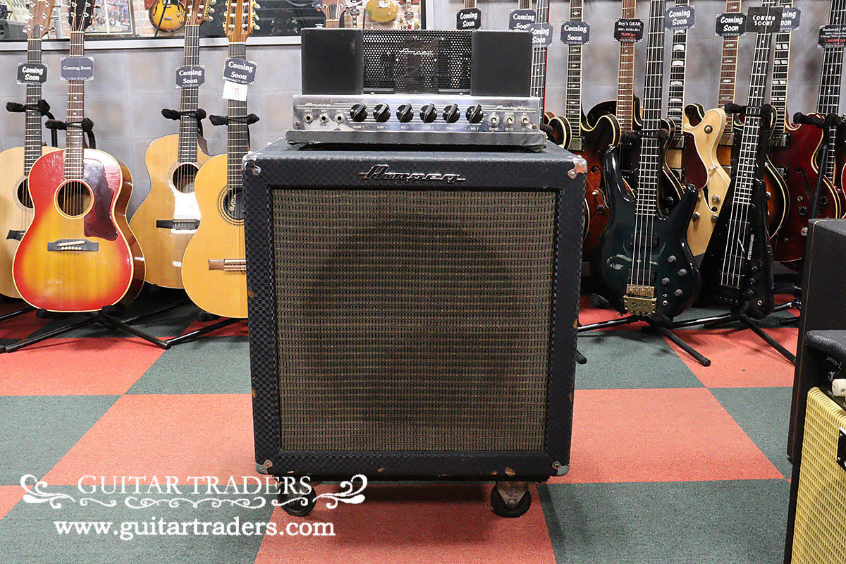 Ampeg 1965 B-15N Portaflex 