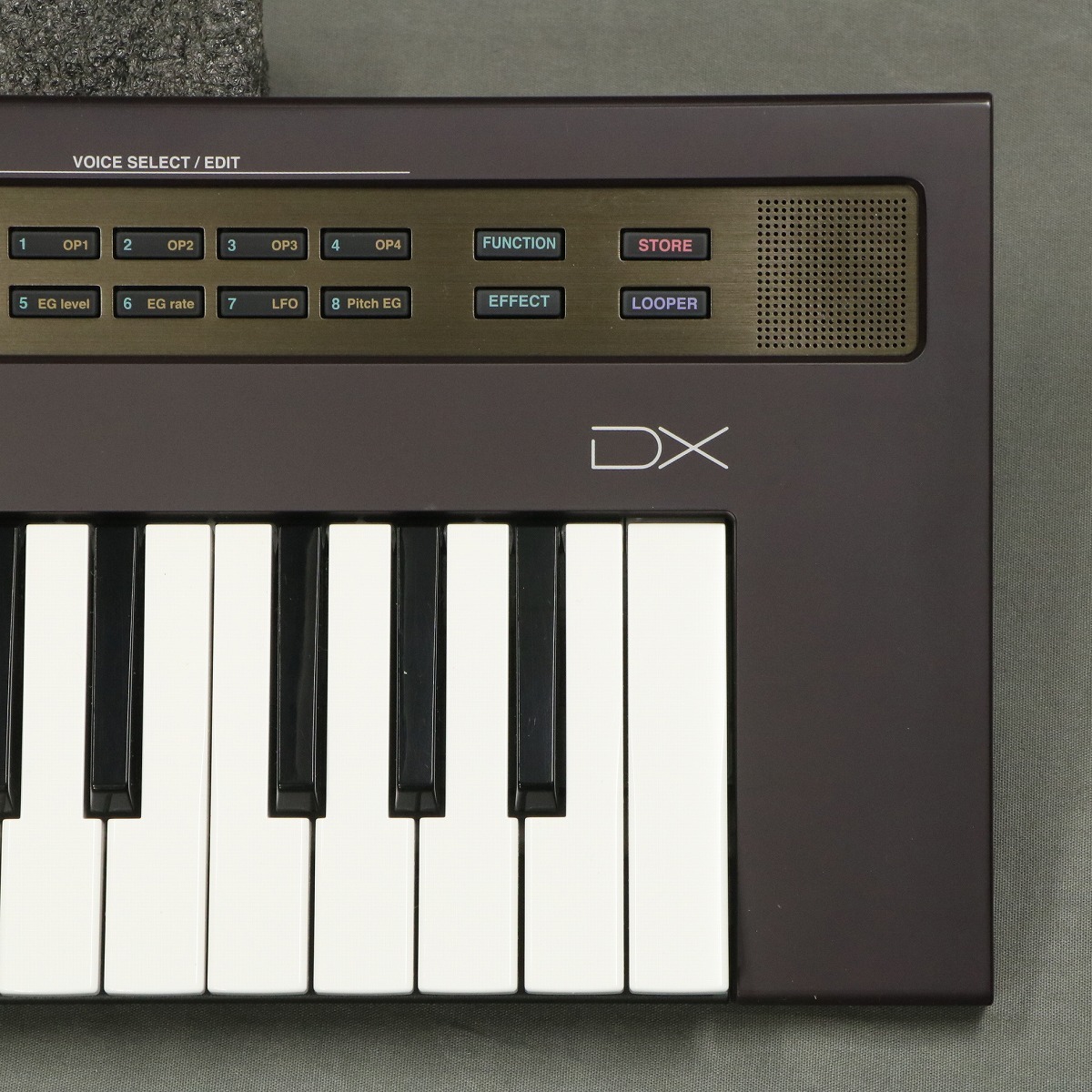 Reface DX 【購入から2ヶ月 DECKSAVER付き！】 Reface DX 【購入から2ヶ月 DECKSAVER付き！】 Reface DX 【購入から2