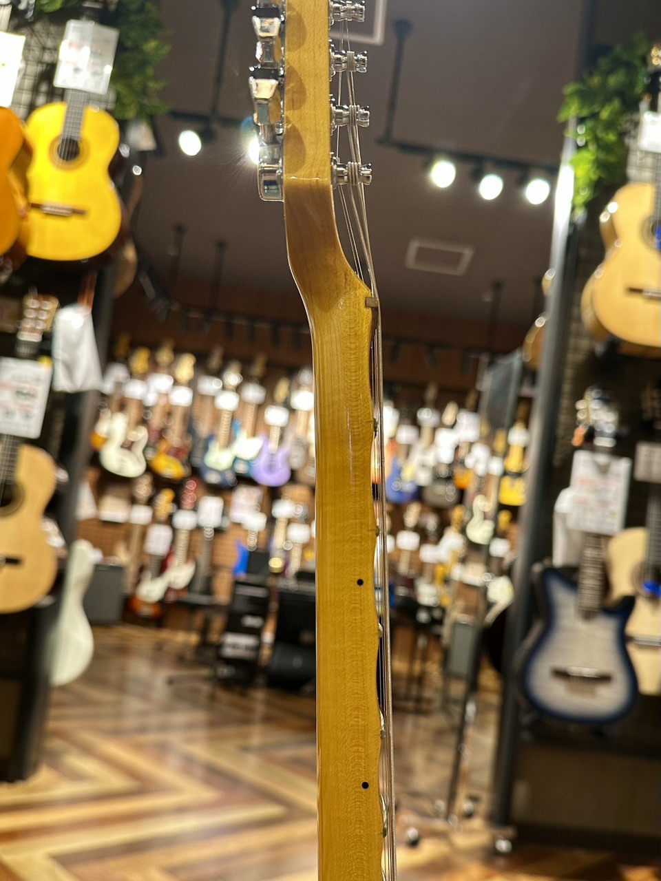 Fender Japan ST71-140YM（中古/送料無料）【楽器検索デジマート】