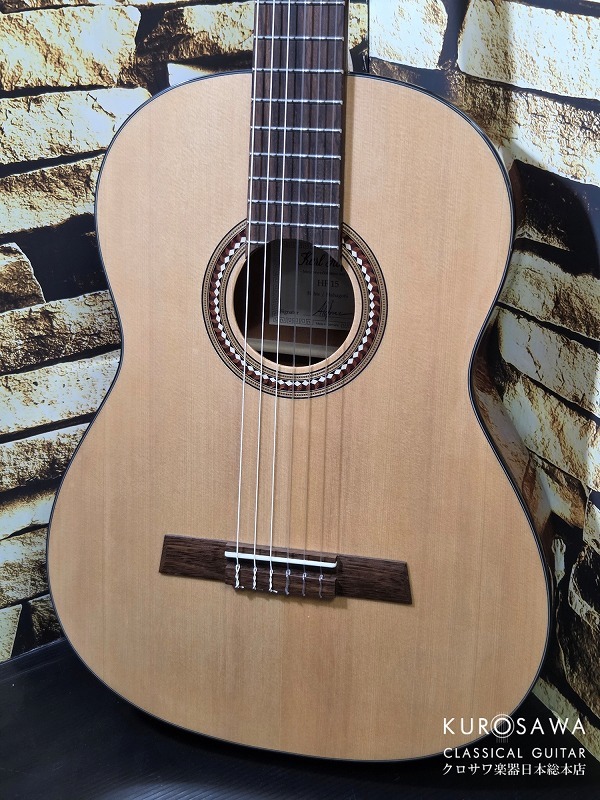 Karl Hofner カール・ヘフナー Classic Series HF15 松単板