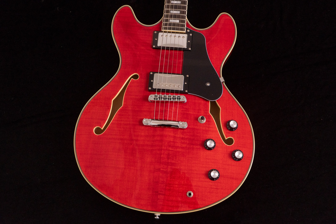 Sire H7 STR 4.035kg #2N25770492【TONIQ横浜】（B級特価/送料