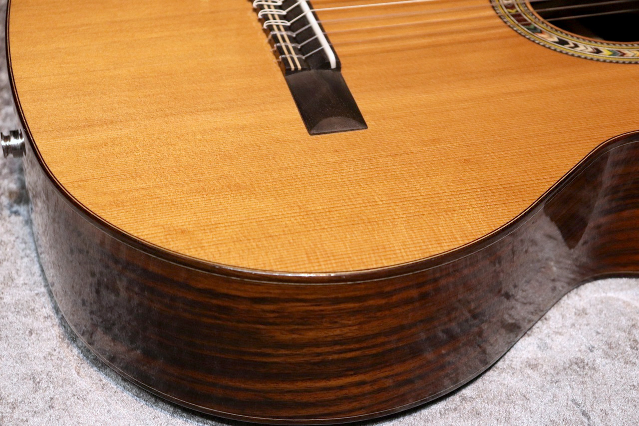 Orpheus Valley Guitars F65CW-7S【激エモ7弦エレガット】【良生