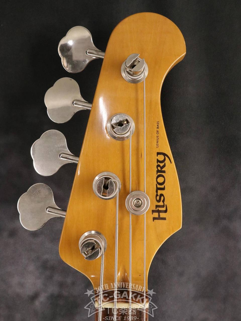 HISTORY TH-PJ（中古）【楽器検索デジマート】