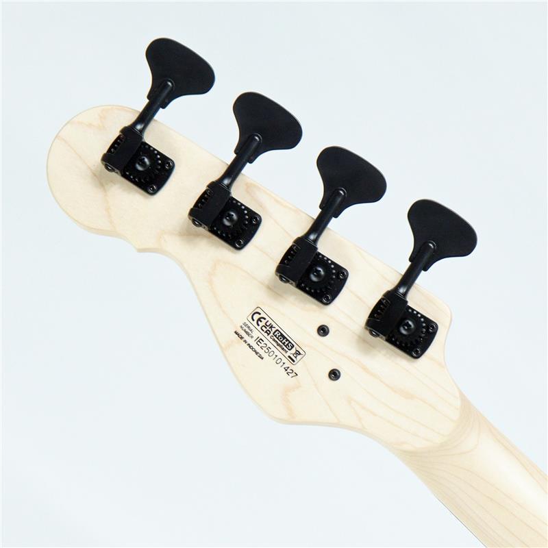 DINGWALL SP1 4st (Gloss Metallic Black w/Matte Coco Gold PG