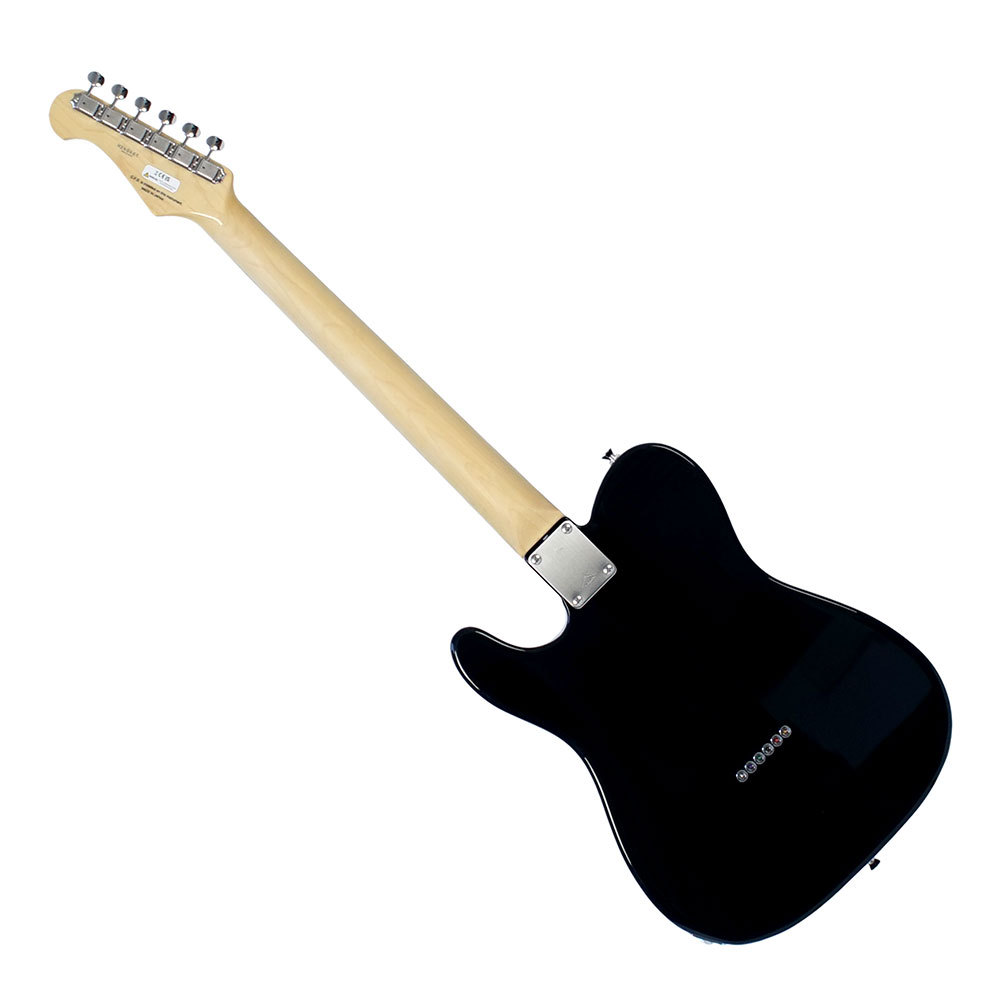 FUJIGEN(FGN) フジゲン FGN Neo Classic NTE100RAL BK テレキャスター