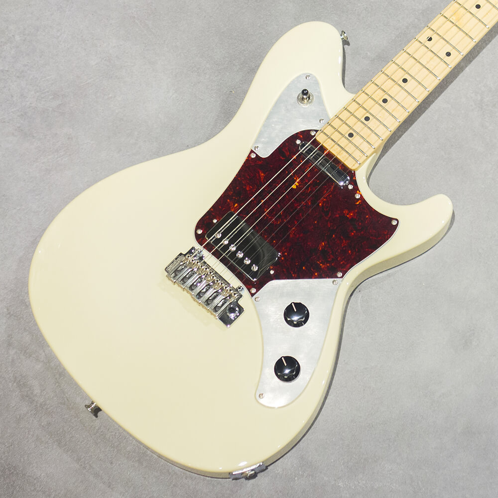 DH496 was finished coloring. color : ALB(Autumn Leaf Burst) 昨日