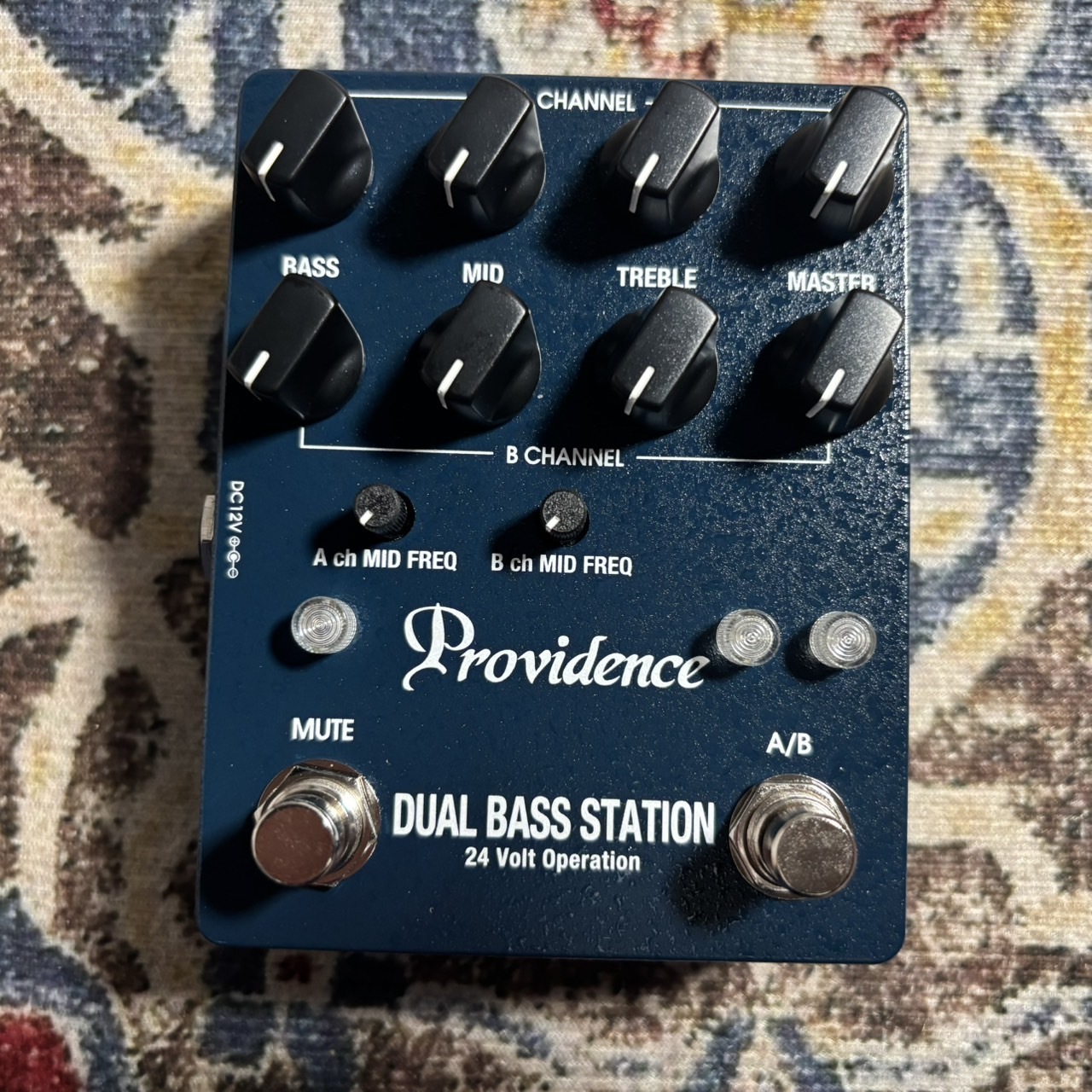 Providence DBS-1 (DBS1) ベースプリアンプ【S/N:Z801359