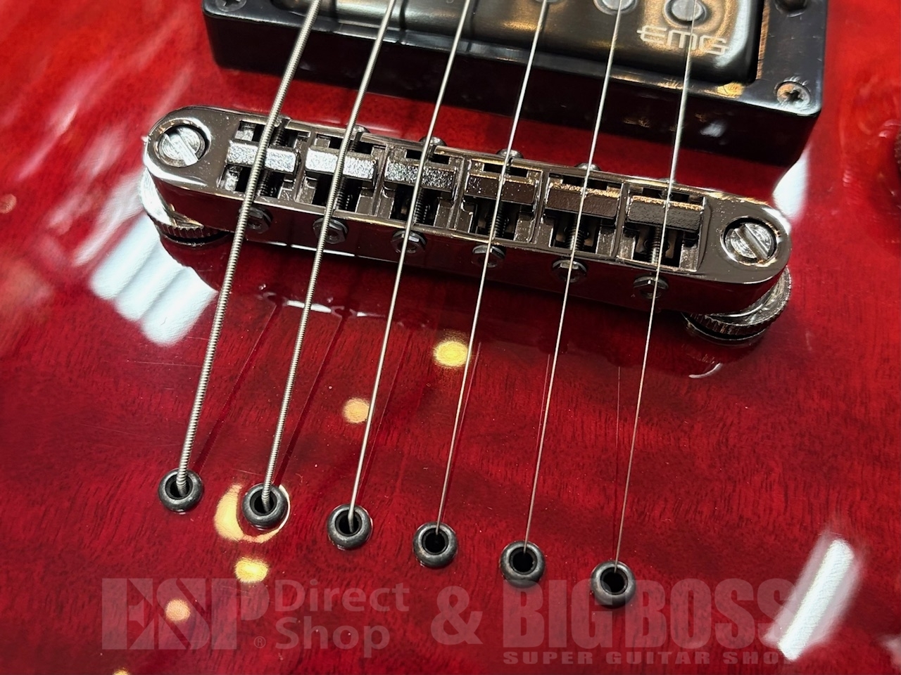 E-II HORIZON NT-II EMG【Tiger Eye Amber Fade】（新品/送料無料