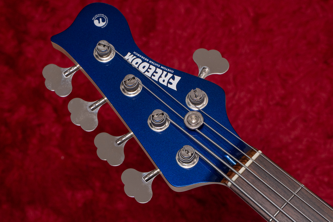 FREEDOM CUSTOM GUITAR RESEARCH C.S. Anthra 5st. Active FRK 2024