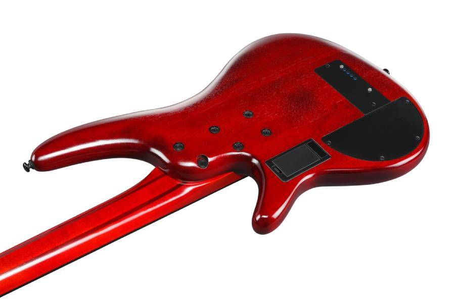 Ibanez SRD900F -BTL (Brown Topaz Burst Low Gloss)-《フレットレス