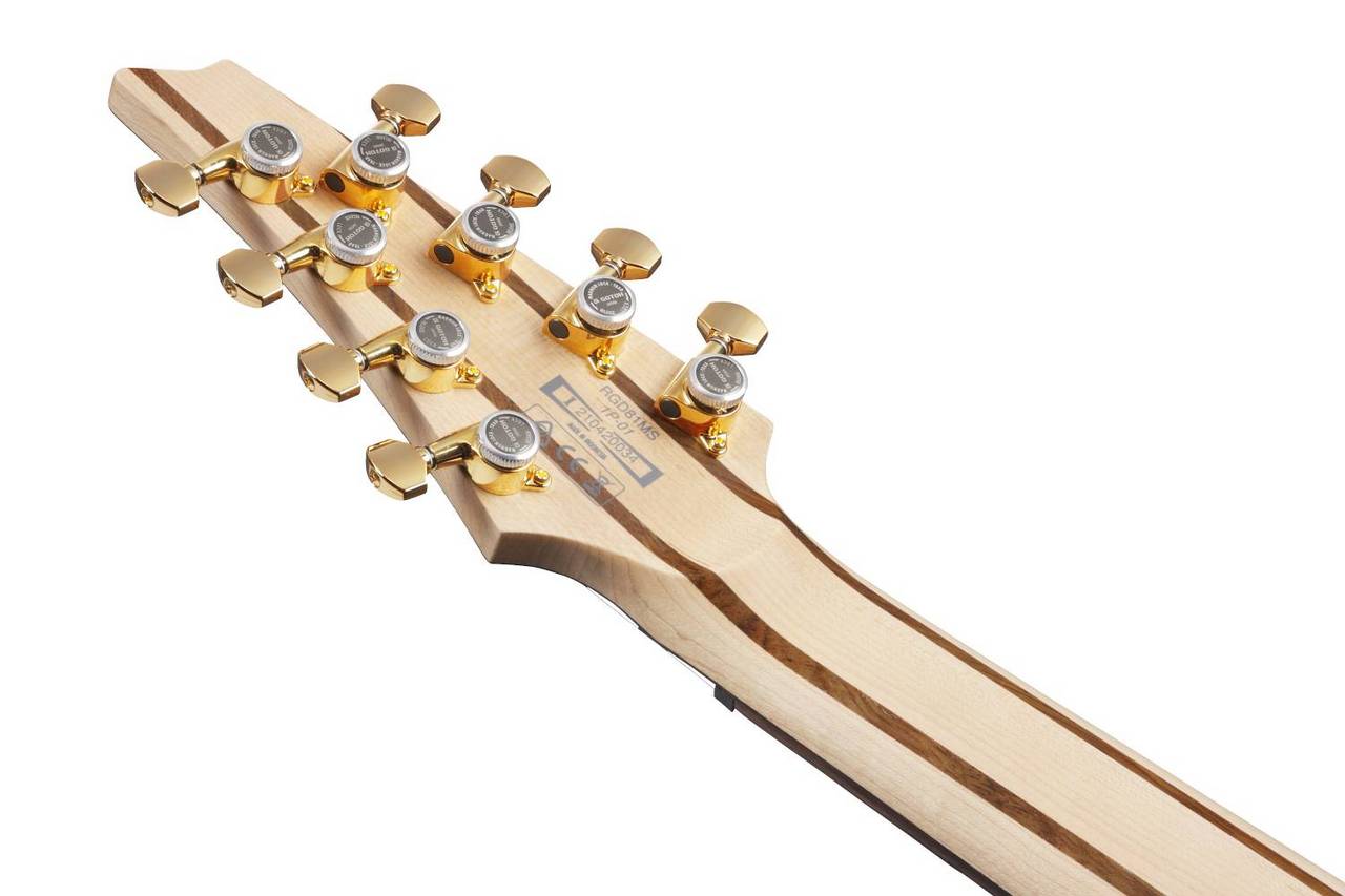 Ibanez RGDMS8 -CSM(Classic Silver Matte)- 《8弦ギター》【Web