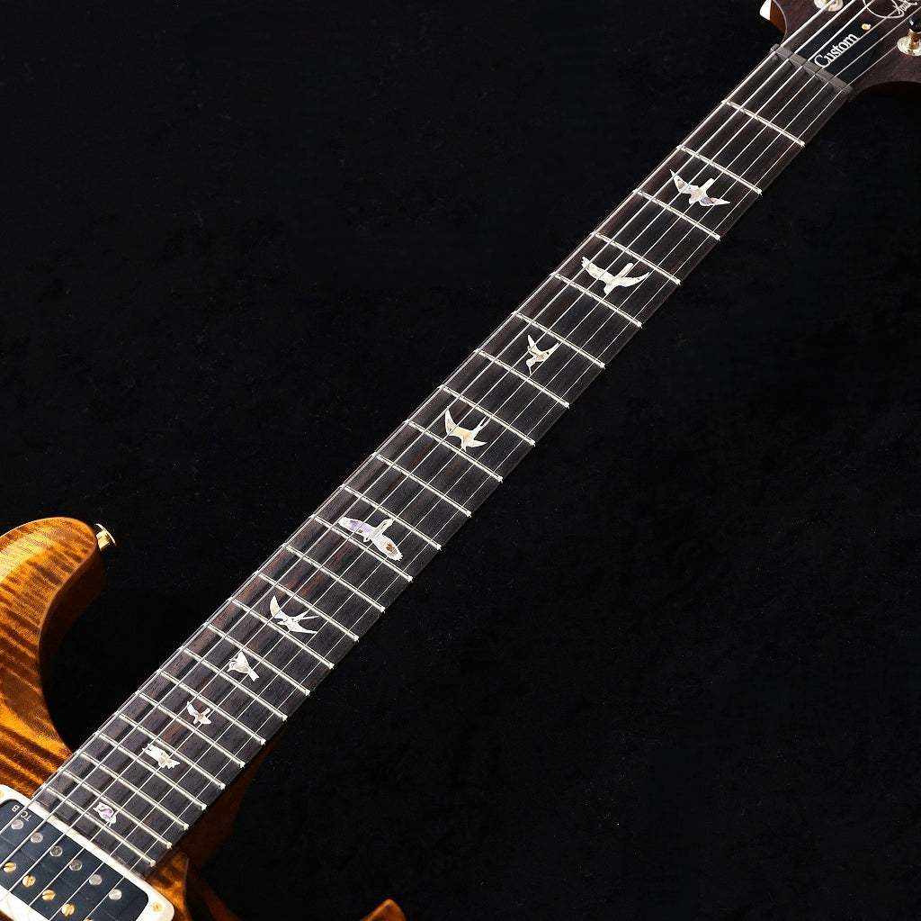 Paul Reed Smith(PRS) 2025 Custom 24-08 10Top Black Gold(重量:3.55
