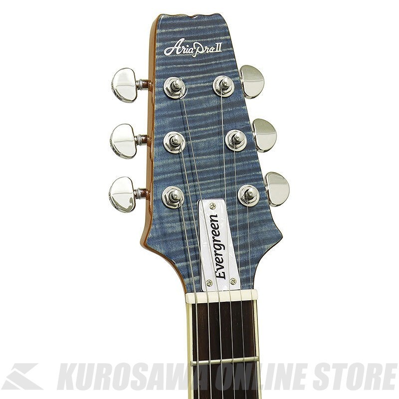 ARIA PRO Ⅱ EVERGREEN PE-AE200 LRBL PE-AE200 LRBL | AE -Aria Evergreen- | Products | ARIA 荒井貿易株式