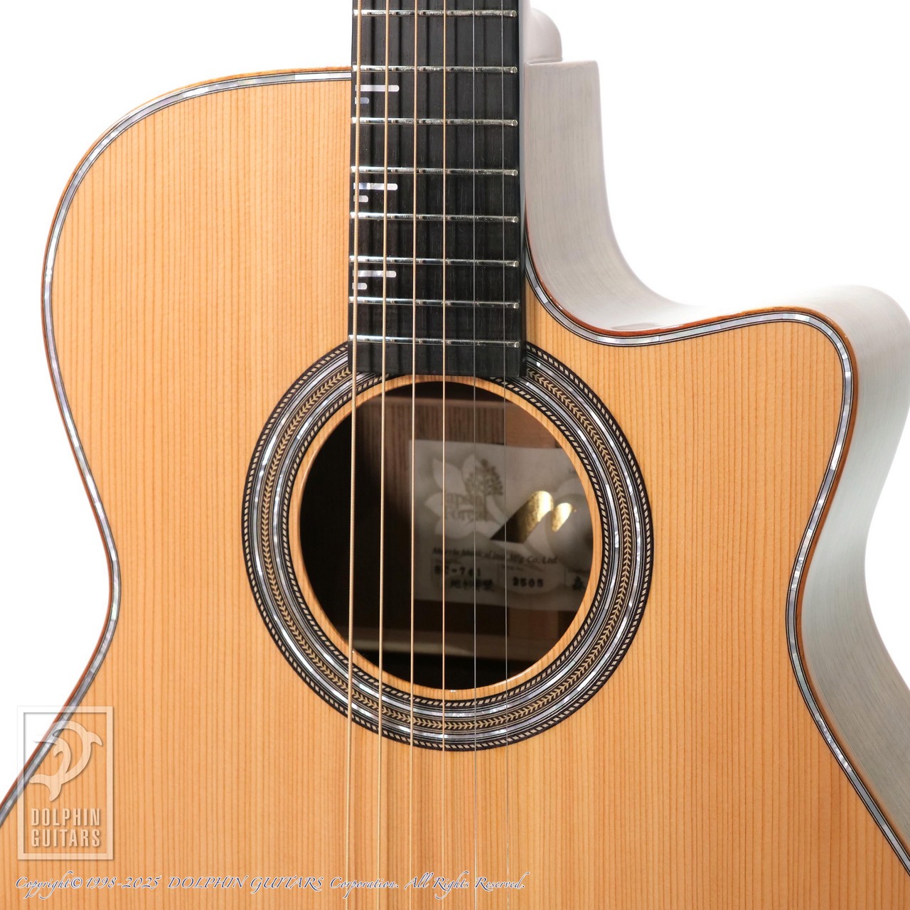 Morris SC-741 地杉黄檗（新品）【楽器検索デジマート】