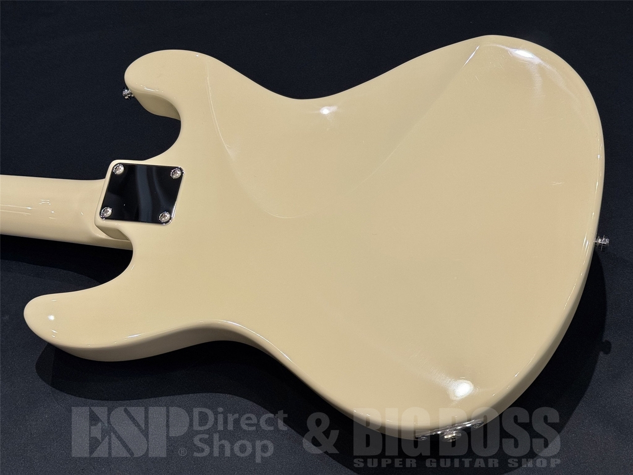 EDWARDS E-Lynn / White（新品/送料無料）【楽器検索デジマート】