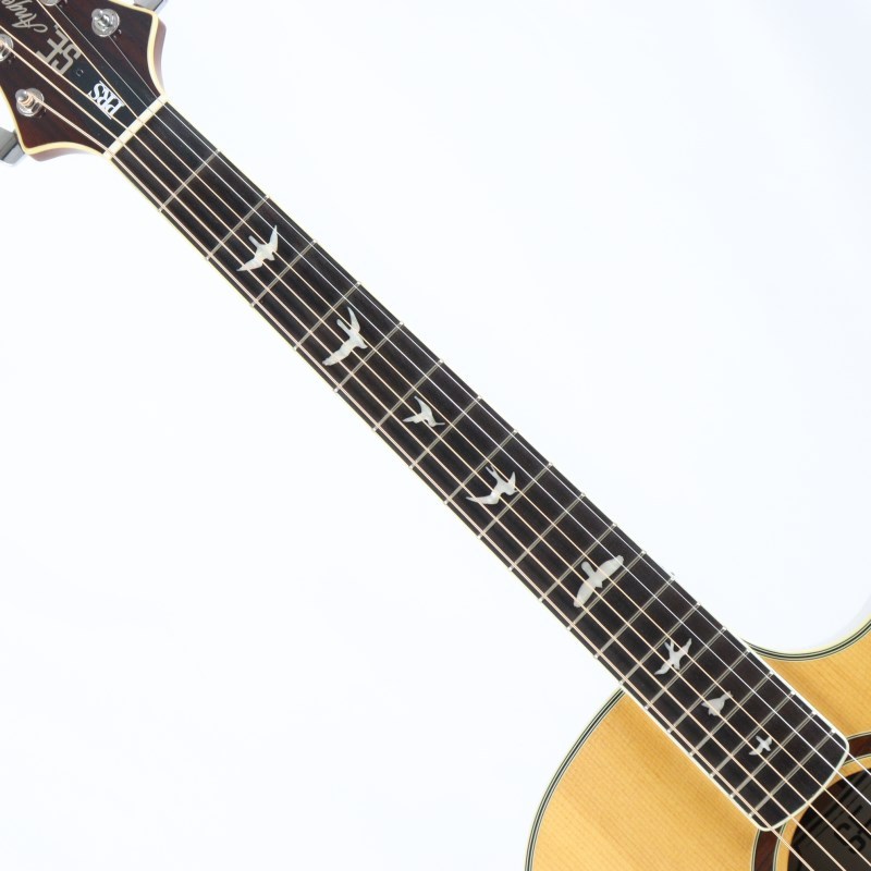 Paul Reed Smith(PRS) 【USED】 SE Angelus Custom ポールリード