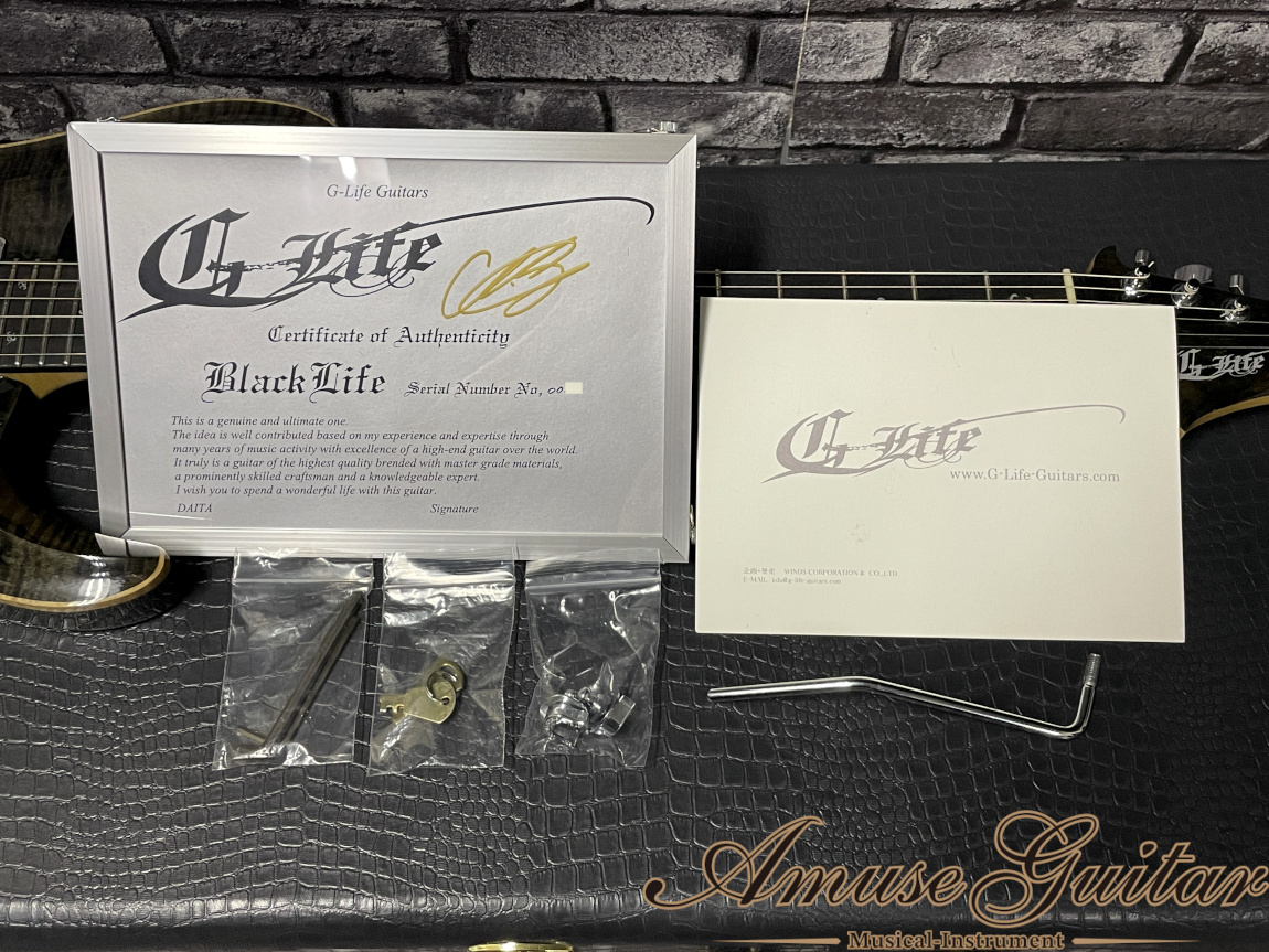 G-Life Guitars Limited Black Life 08年製DAITA Produce & Signature