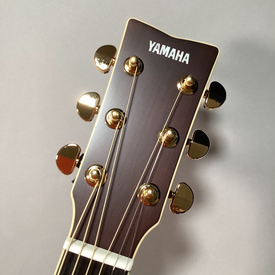 YAMAHA (ヤマハ)LS-TA / ブラウンサンバースト(BS)【現物写真