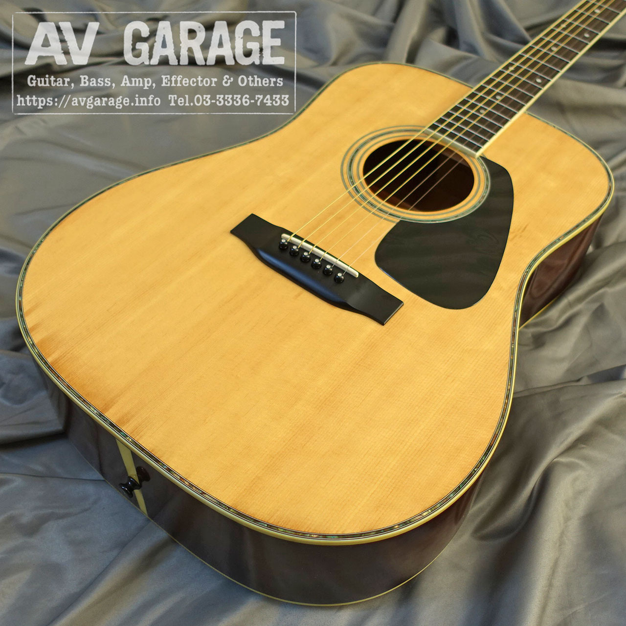 新品本物 Morris Guitar（中古）【楽器検索デジマート】 Acoustic MD-520 ギター