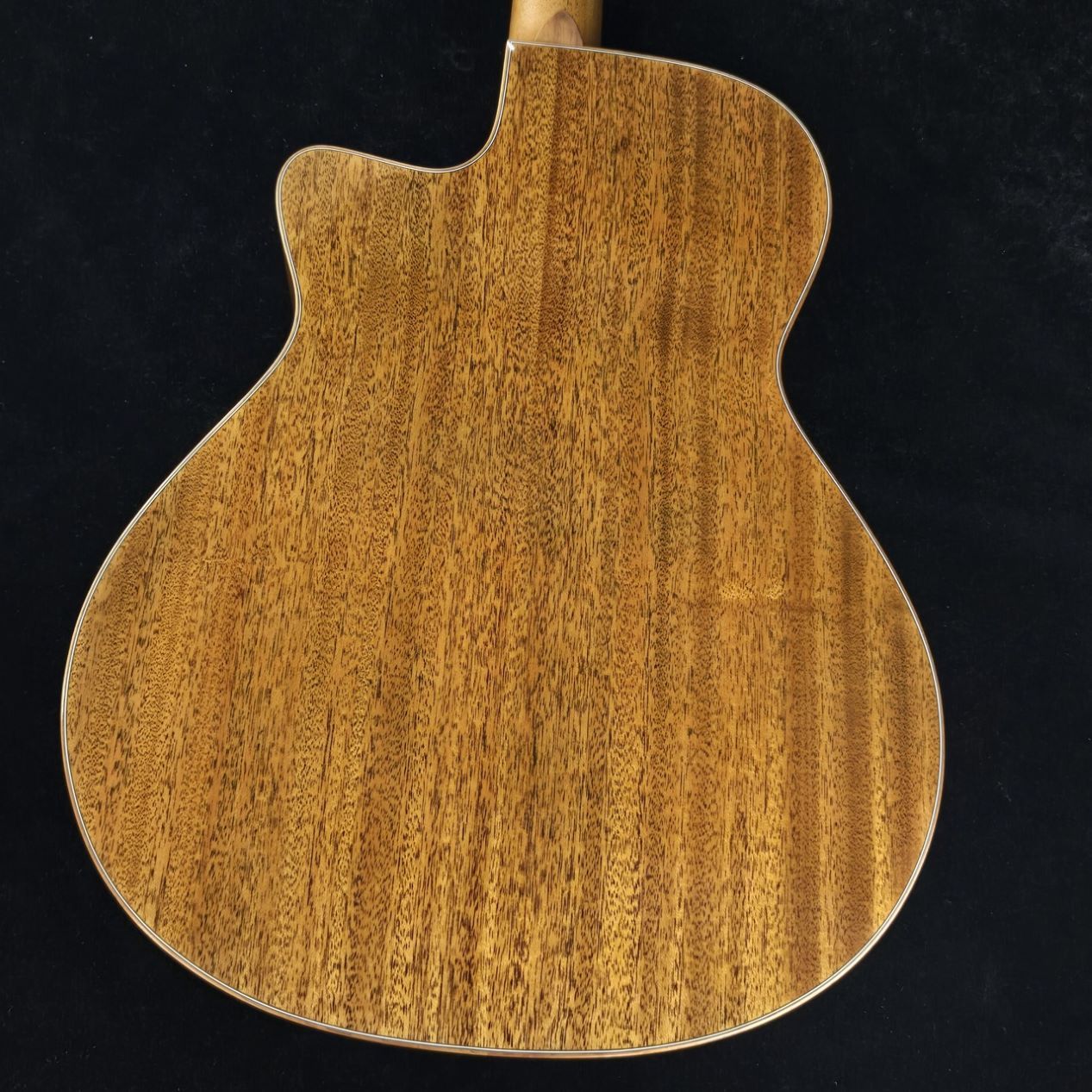 Morris SC-61 - Natural【現物画像】【2/8までMorris Fair 開催中