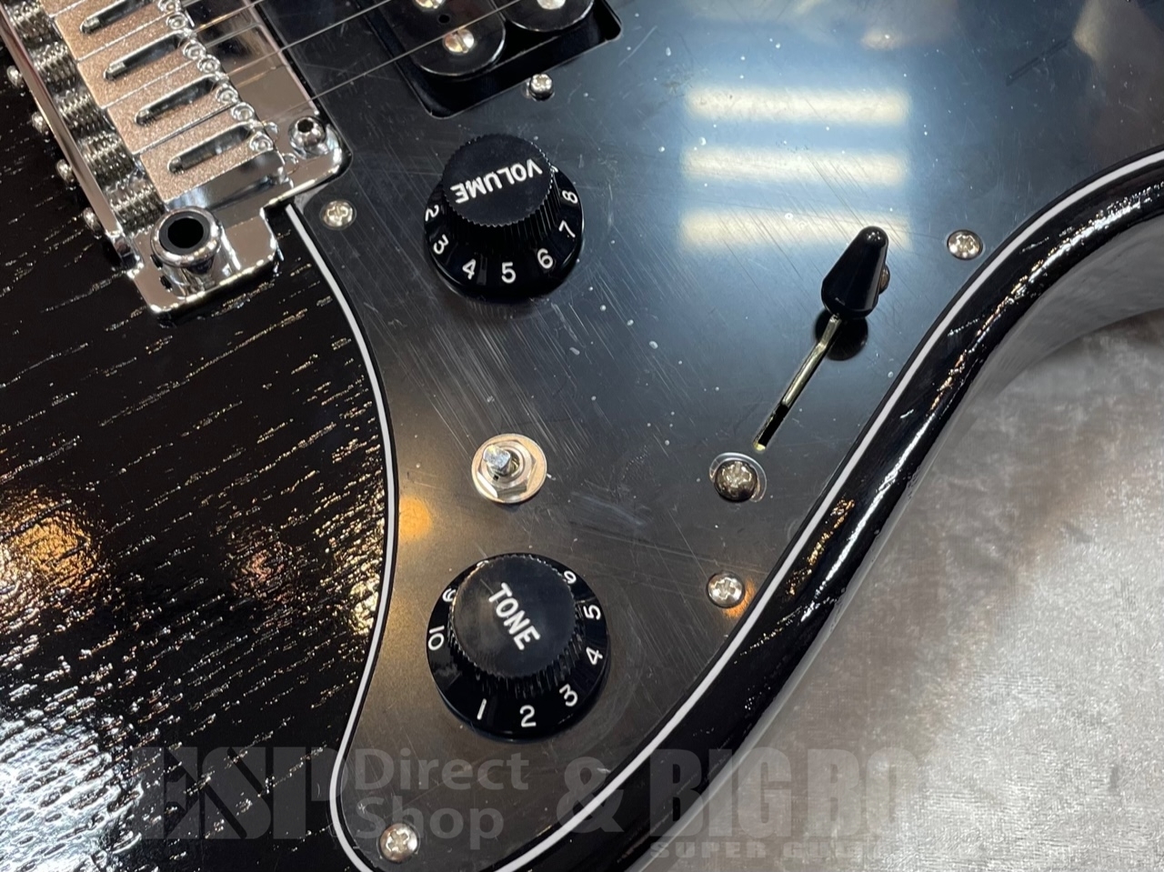 EDWARDS E-SNAPPER-AS/M【Solid Black】（新品/送料無料）【楽器検索