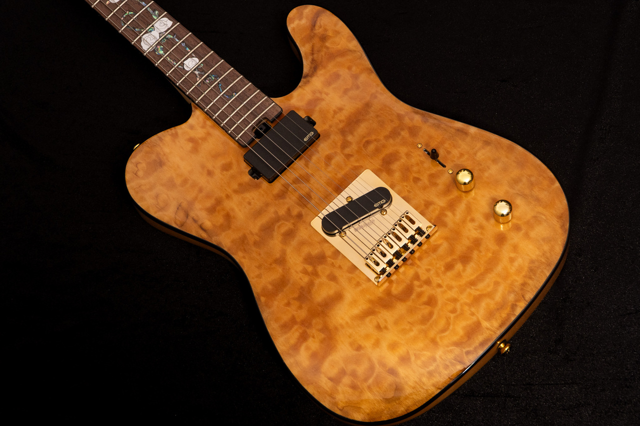 Aria Pro II TEG-780 3.495kg #1024121093【TONIQ横浜】（B級特価/送料