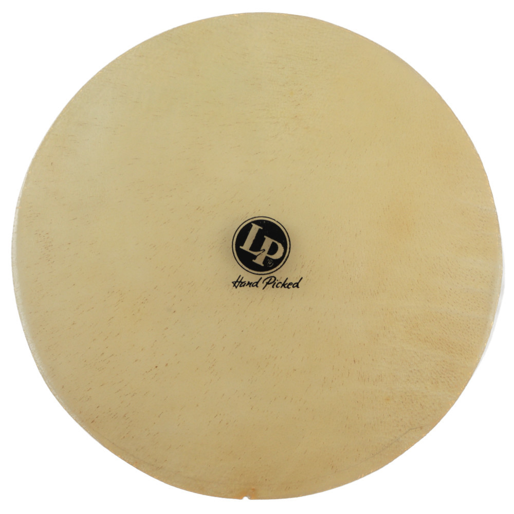 クラシック LP219 LP FLAT ボンゴ用ヘッド（新品/送料無料 12 SKIN/BONGO パーカッション・打楽器