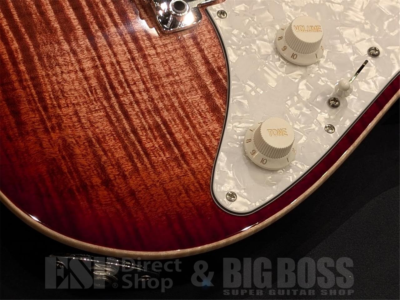 Suhr Standard Plus Matching Head / Faded Trans Wine Red