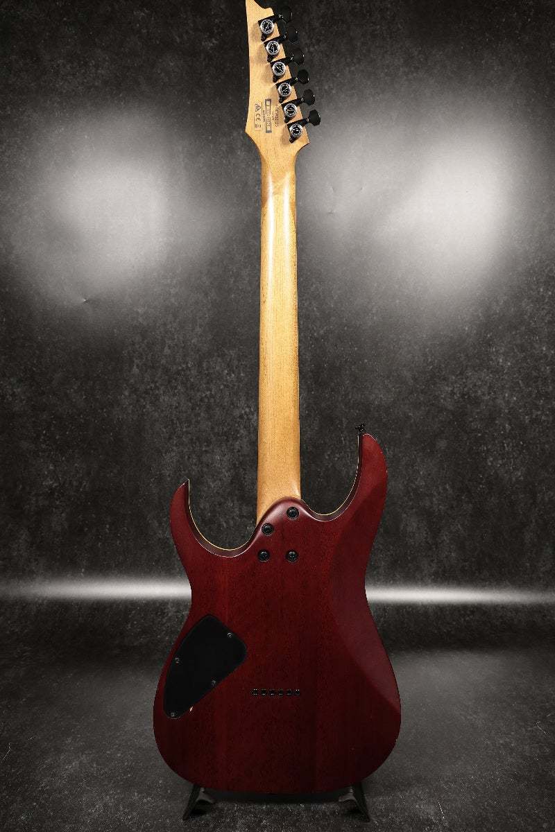 Ibanez RGEW521ZC-NTF Natural Flat 【名古屋栄店】（中古/送料無料
