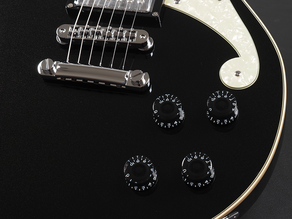 D'Angelico Premier Brighton -Black Flake-（中古）【楽器検索