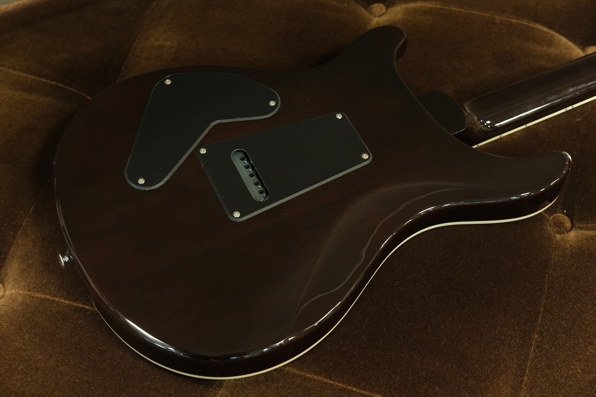Paul Reed Smith(PRS) SE Custom 24 Semi-Hollow Piezo