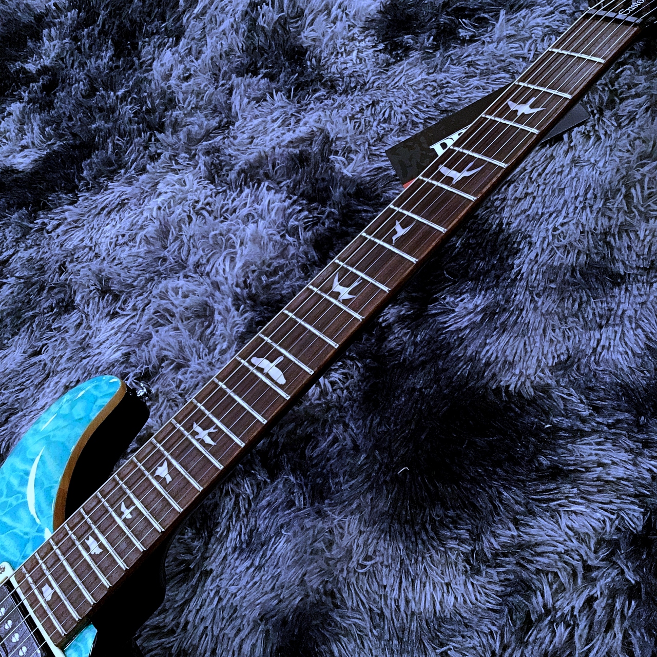 Paul Reed Smith(PRS) SE Custom 24 Quilt Sapphire 【良杢