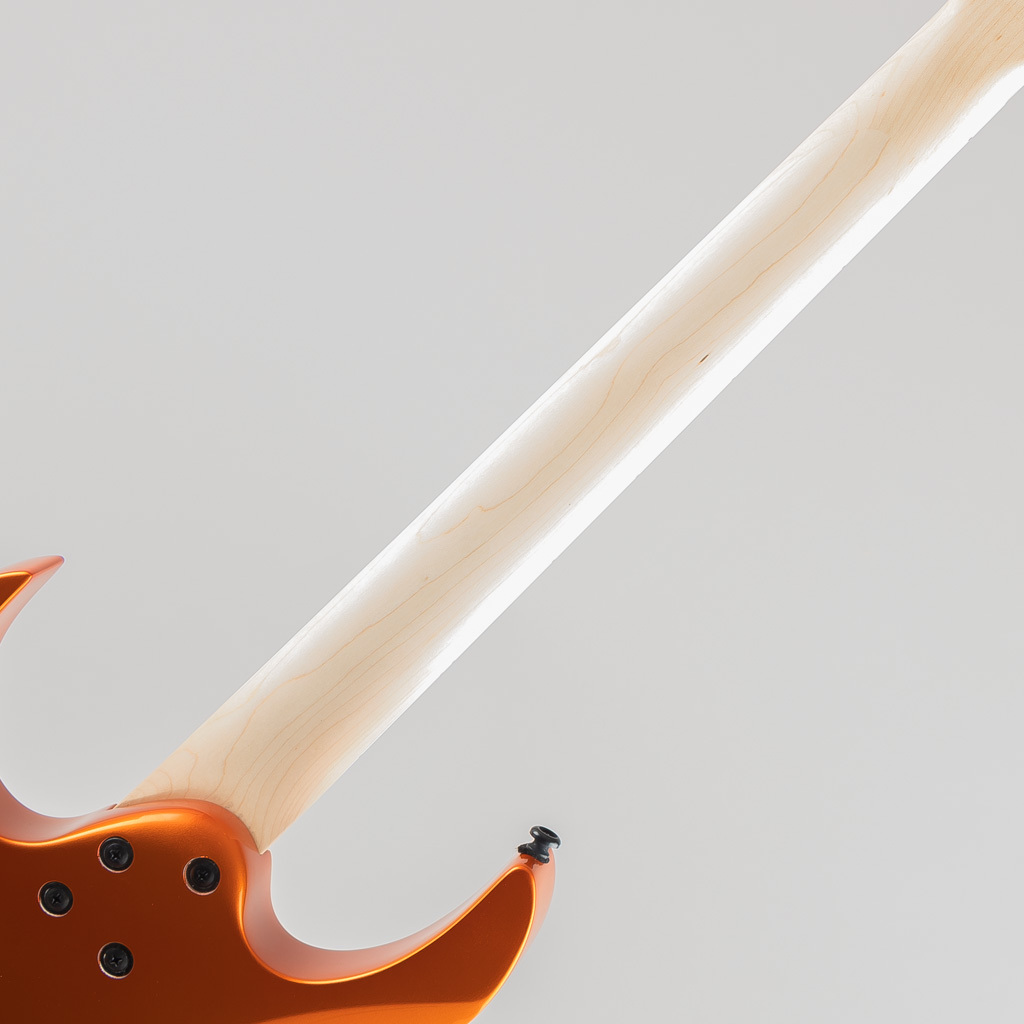 Ibanez RG460DX-ROM（新品/送料無料）【楽器検索デジマート】