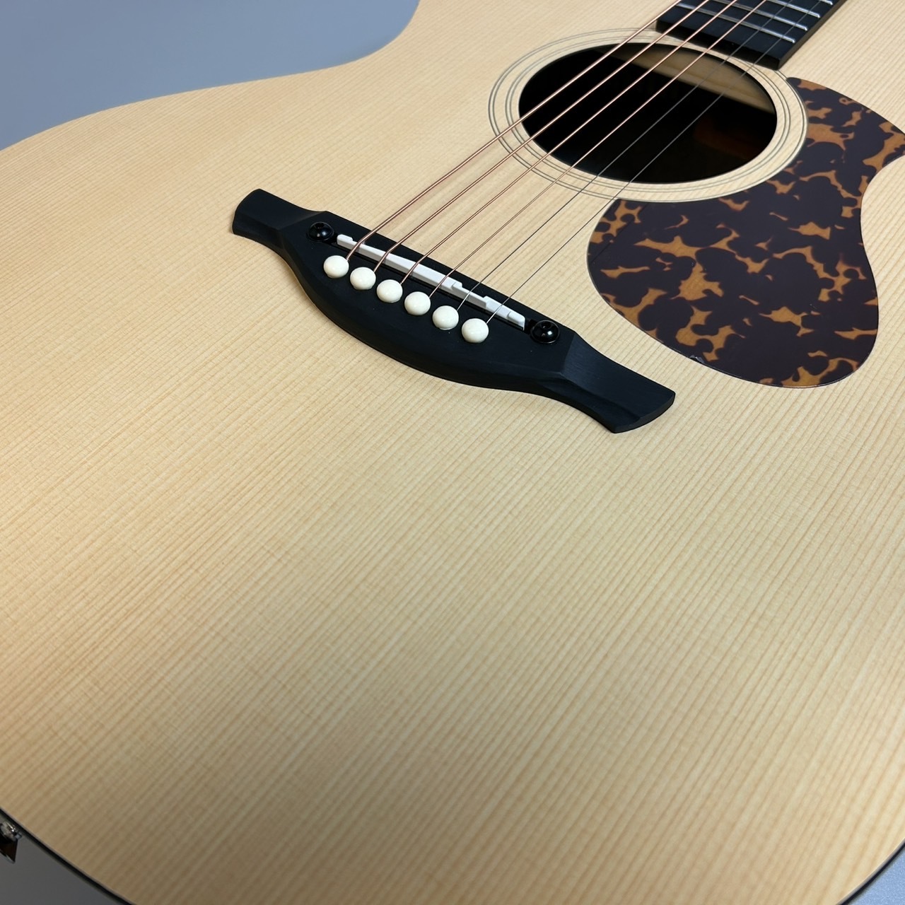 James J-100A SPT アコースティックギター ギグケース付属