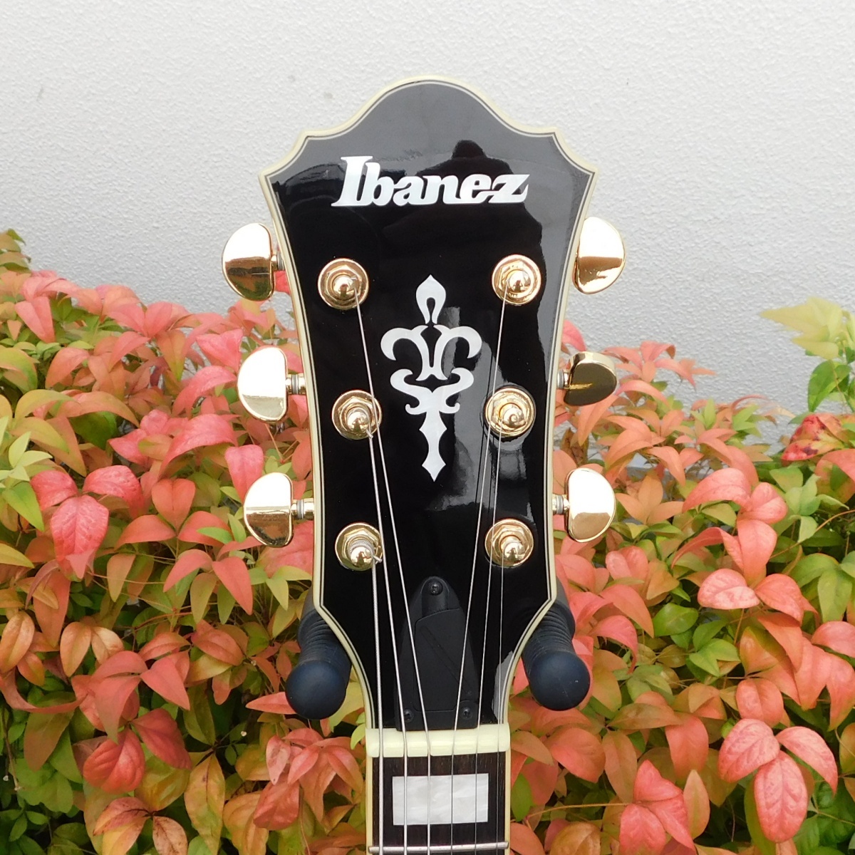 Ibanez AG95QA-DBS（中古）【楽器検索デジマート】