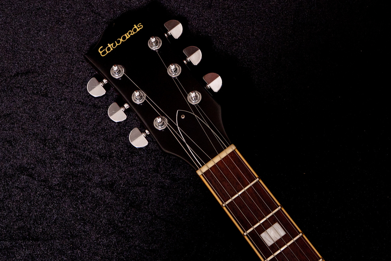 EDWARDS E-SA-118LTS 2008 3.995㎏ #ED0828407【TONIQ横浜