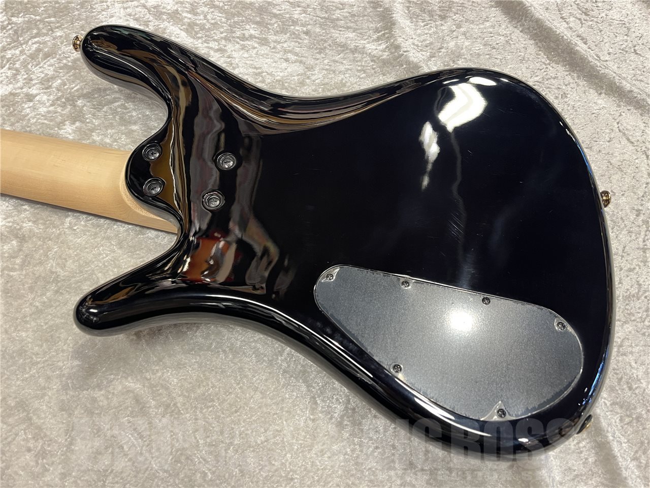 Spector NS-5 ICON BOLT-ON【Black Cherry】（新品/送料無料）【楽器