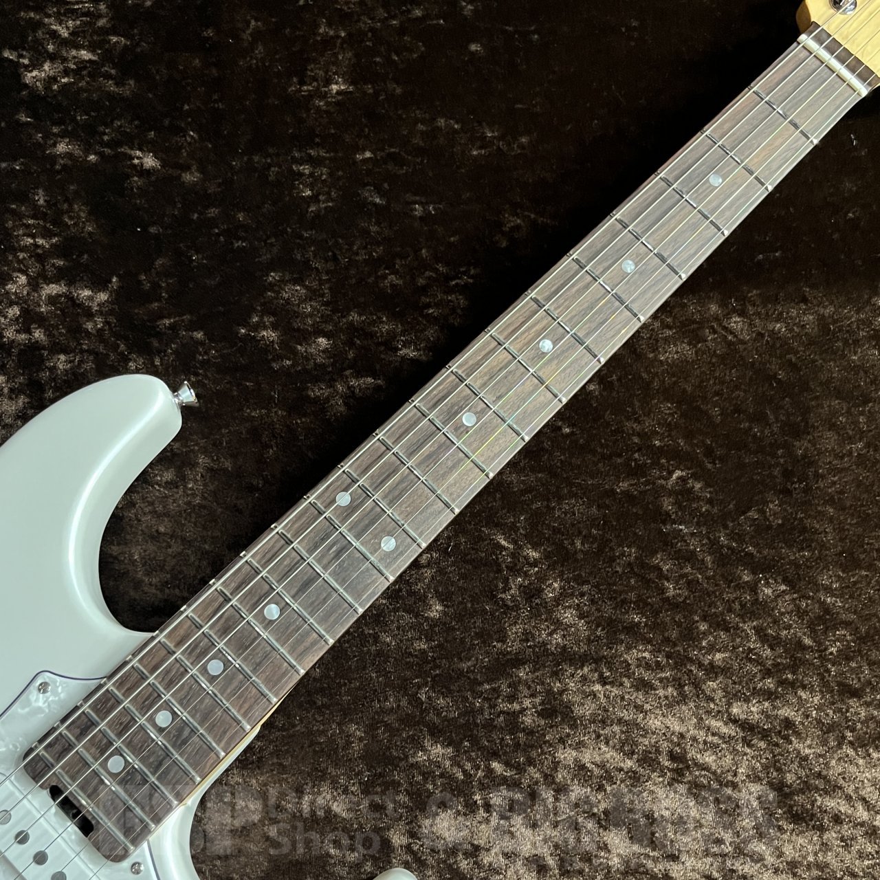 EDWARDS E-SNAPPER-GK-AL/R【Pearl White】（新品/送料無料）【楽器