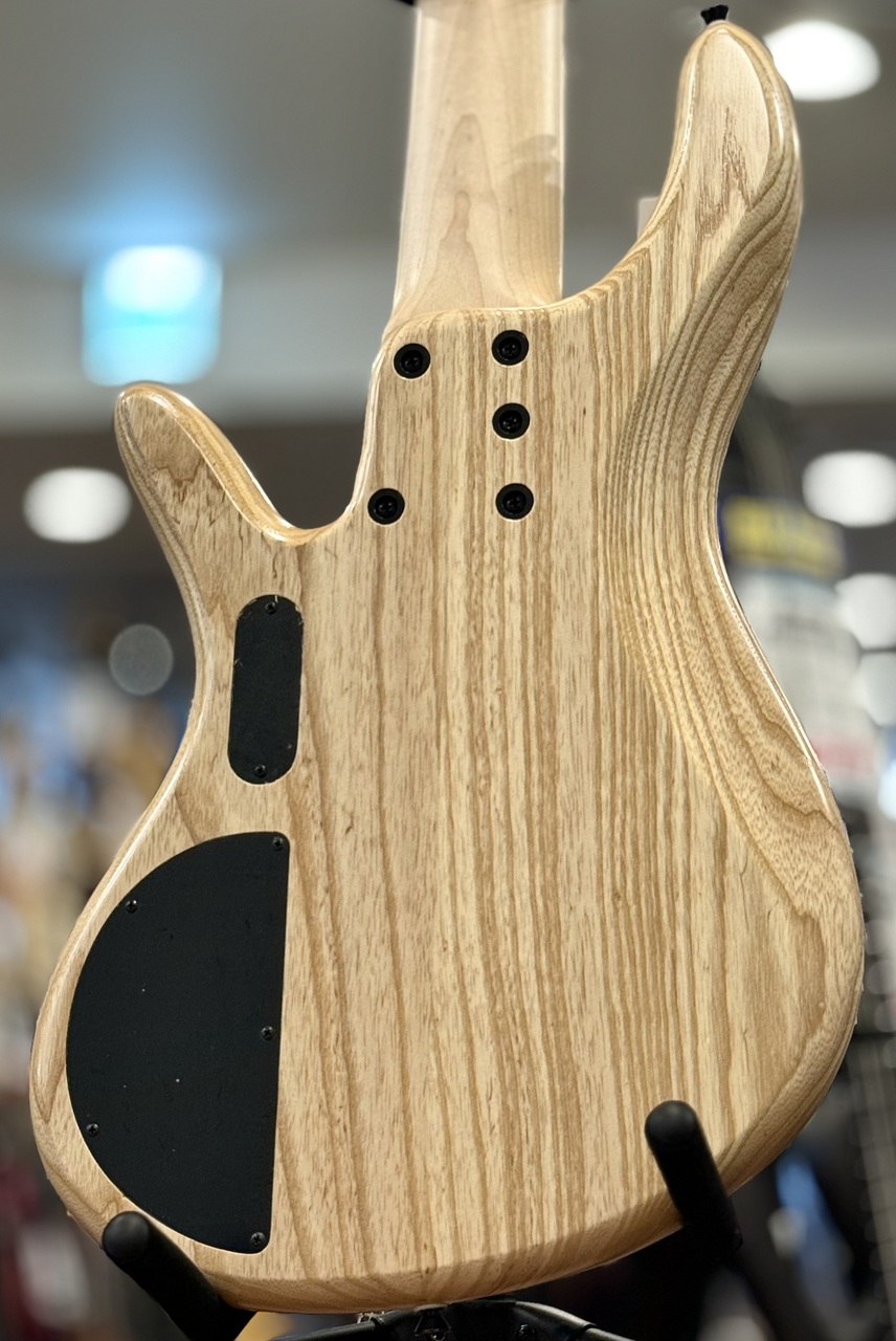 Red House Esperanza 5st 24F Active -Natural-【サウンドメッセ
